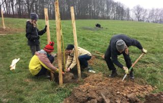 Freiwillige helfen bei der Baumpflanzung in der Sächsischen Schweiz